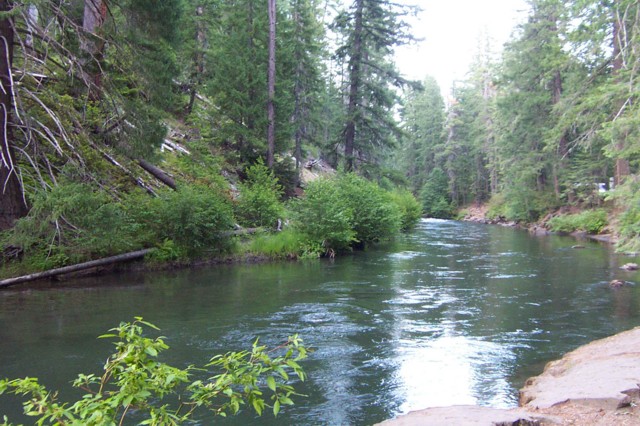 Rogue River.JPG (799394 bytes)